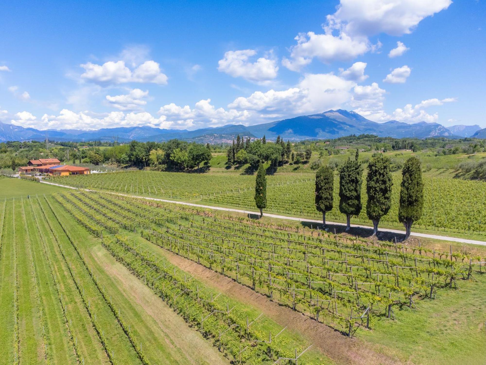 Agriturismo Ai Prati Lazise Exterior photo